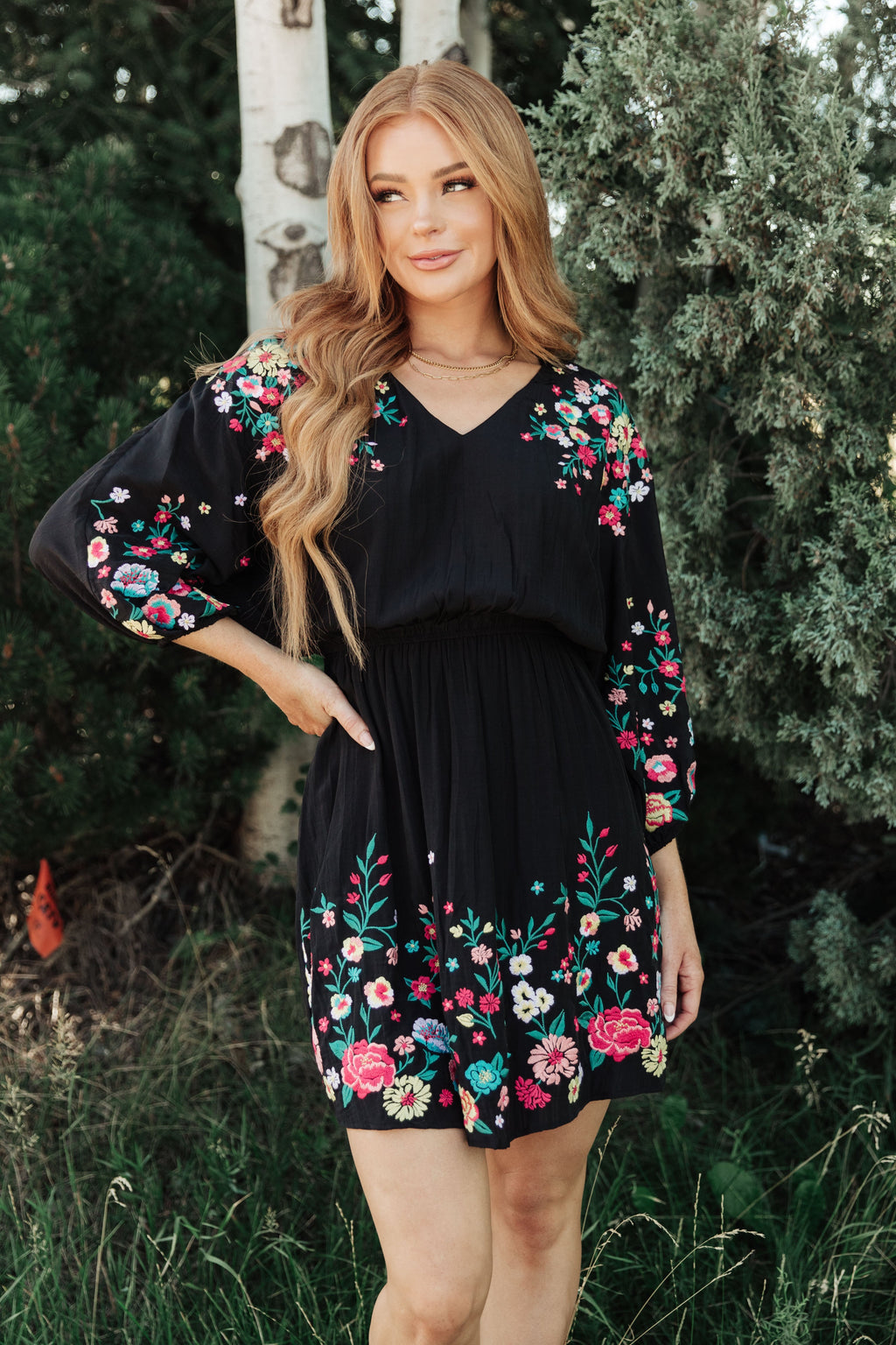 Hazel Blues® |  Happy To See You Floral Embroidered Dress