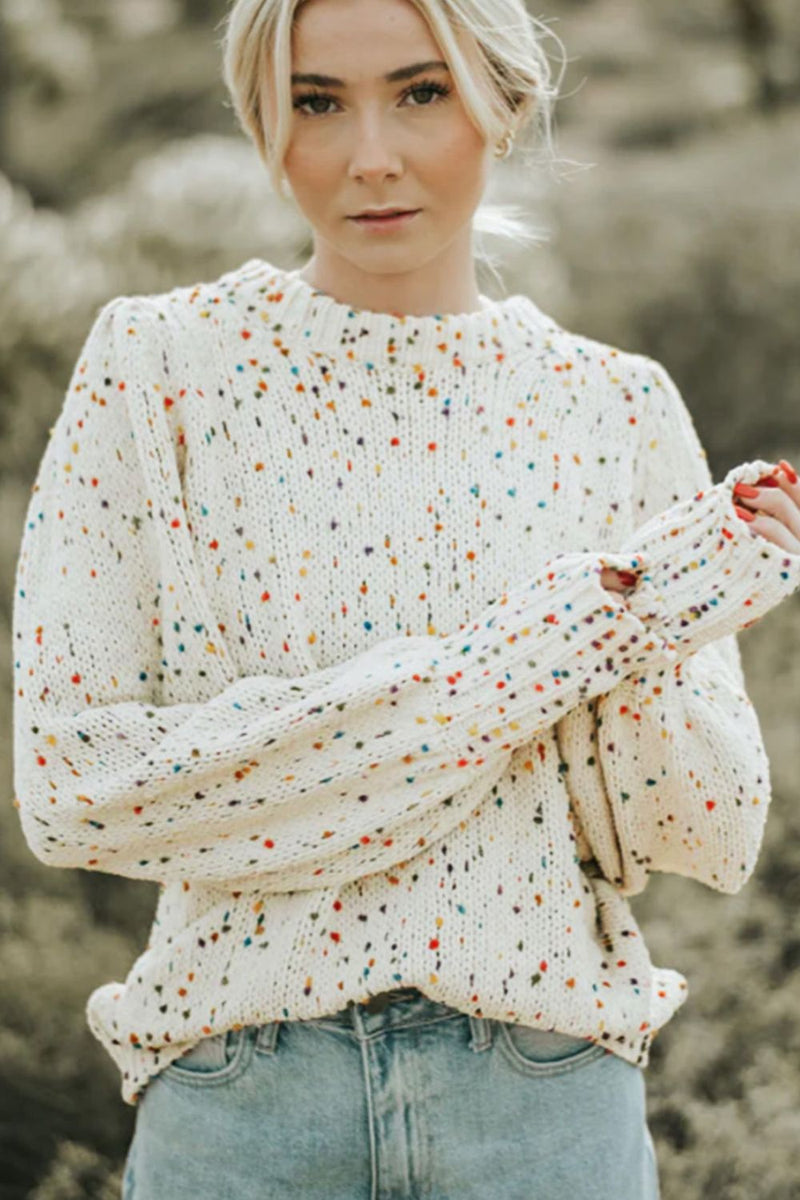 Hazel Blues® |  Confetti Round Neck Long Sleeve Sweater