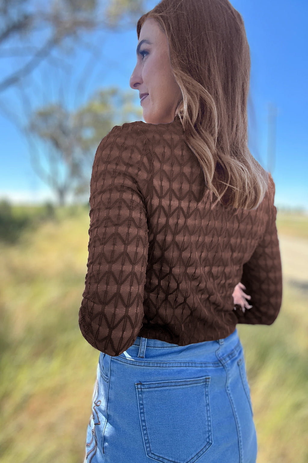 Chicory Coffee Sheer Textured Lace Stand Neck Long Sleeve Top