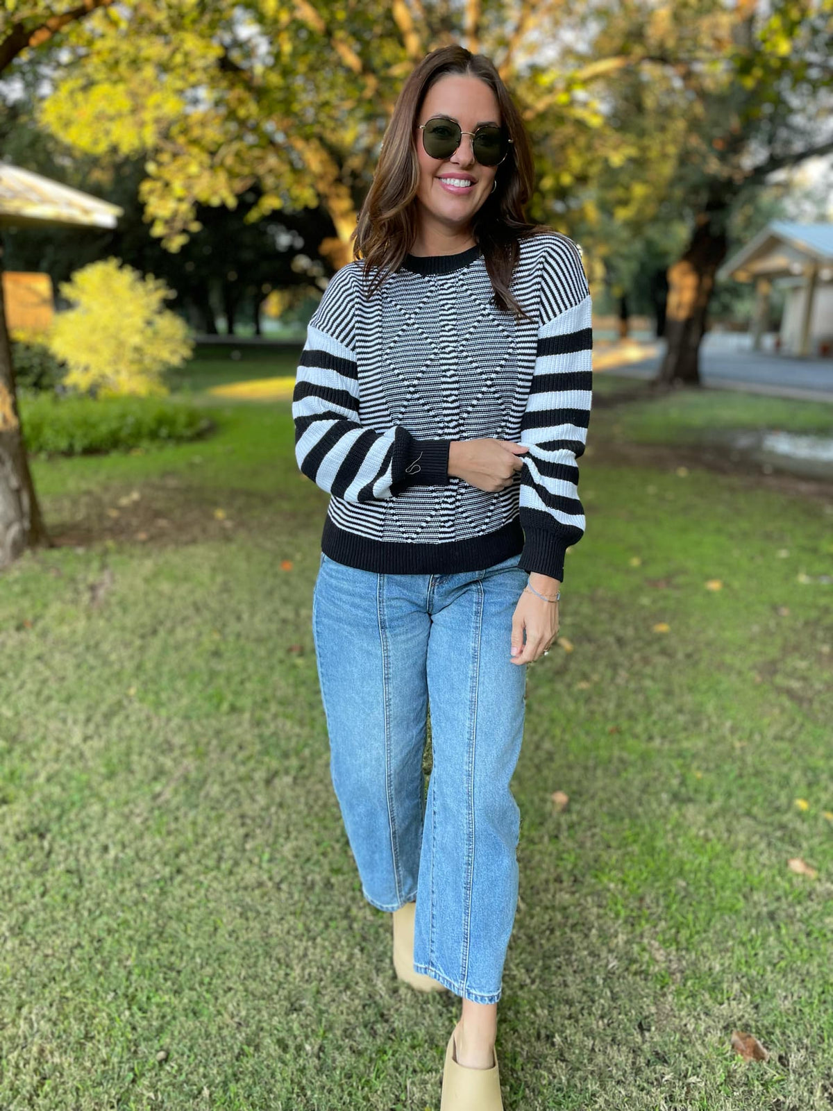 PREORDER: Aspen Striped Sleeve Sweater in Four Colors