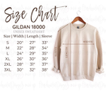 Hazel Blues® |  Let's Go Pennant in Grey Sweatshirt