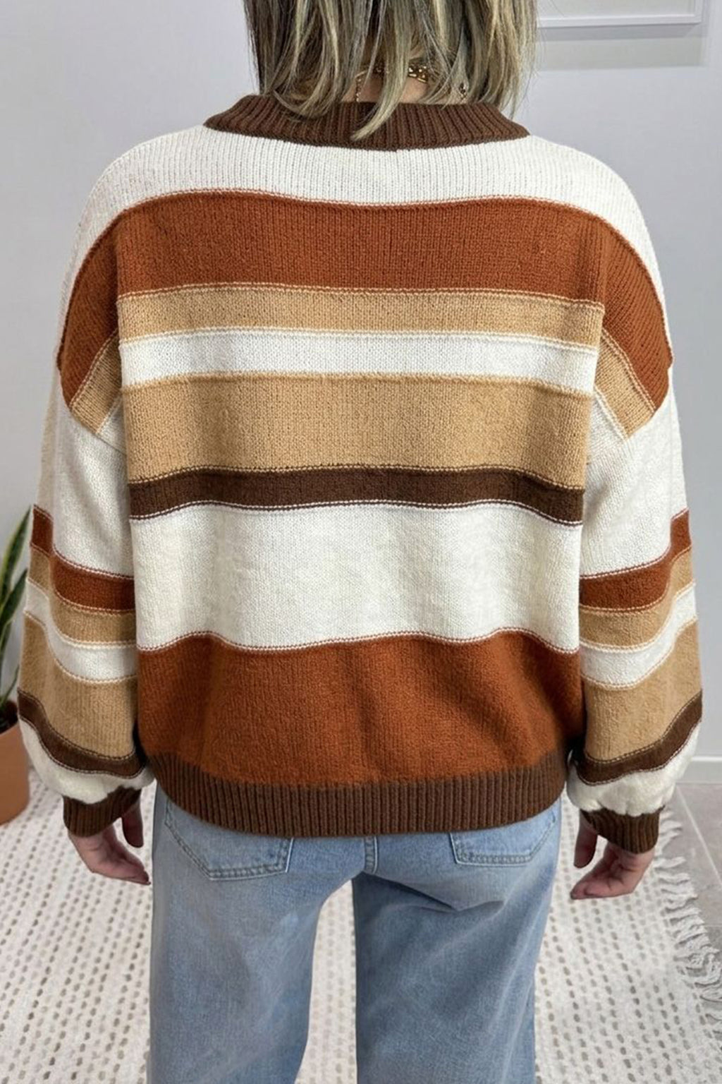 Multicolor Stripe Crewneck Knit Sweater