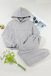 Hazel Blues® |  Dropped Shoulder Long Sleeve Hoodie and Pants Active Set