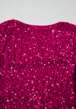 Hazel Blues® |  Sequin Surplice Long Sleeve Mini Dress