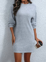 Hazel Blues® |  Round Neck Long Sleeve Mini Dress