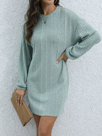 Hazel Blues® |  Round Neck Long Sleeve Mini Dress