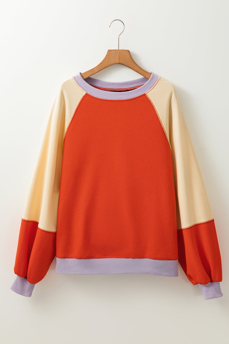 Hazel Blues® |  Color Block Round Neck Long Sleeve Sweatshirt