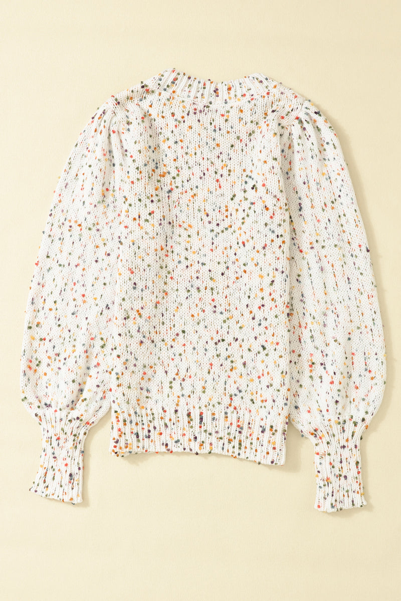 Confetti Round Neck Long Sleeve Sweater