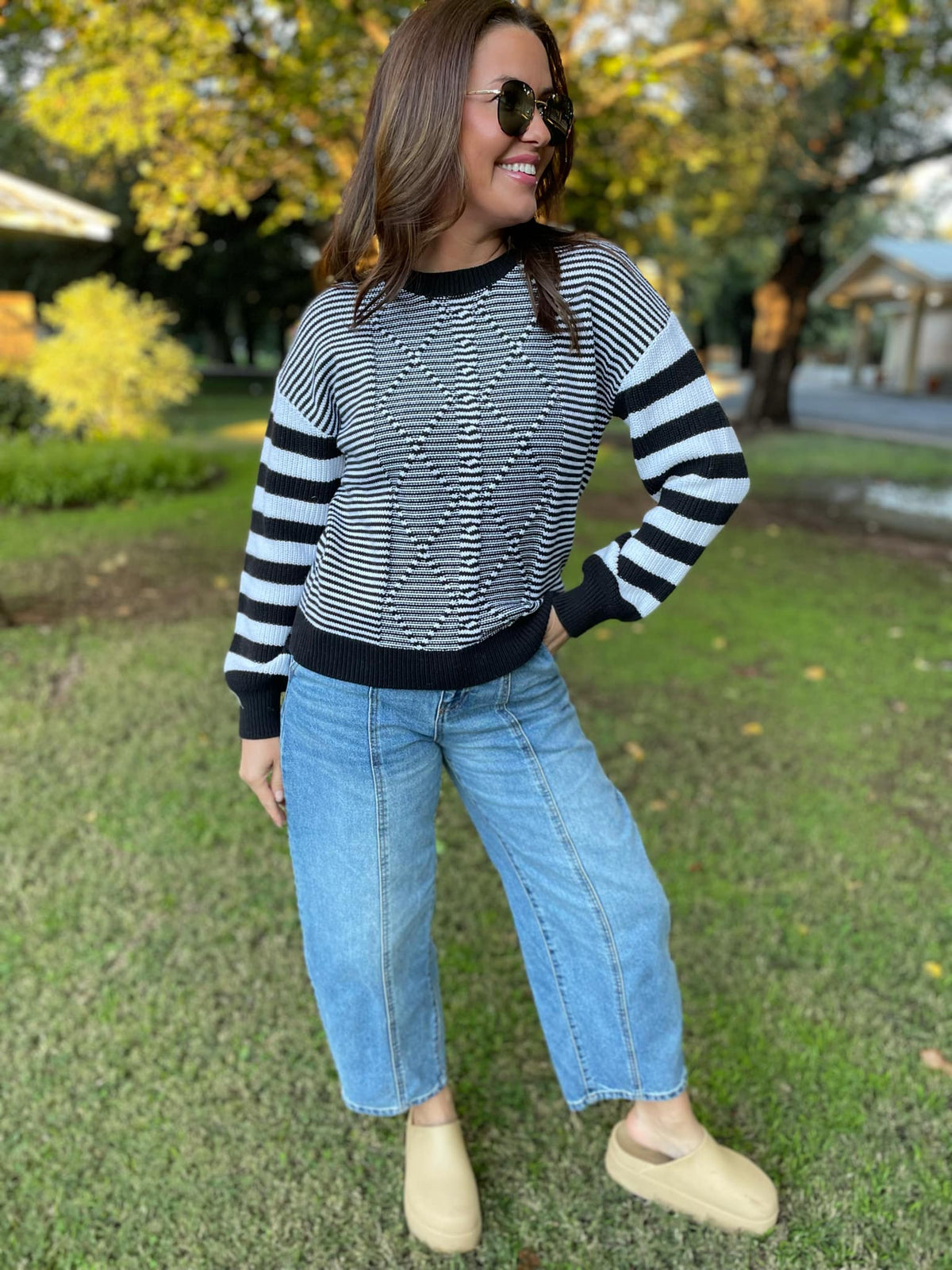 PREORDER: Aspen Striped Sleeve Sweater in Four Colors