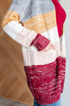 Hazel Blues® |  Bring the Warmth Color Block Cardigan