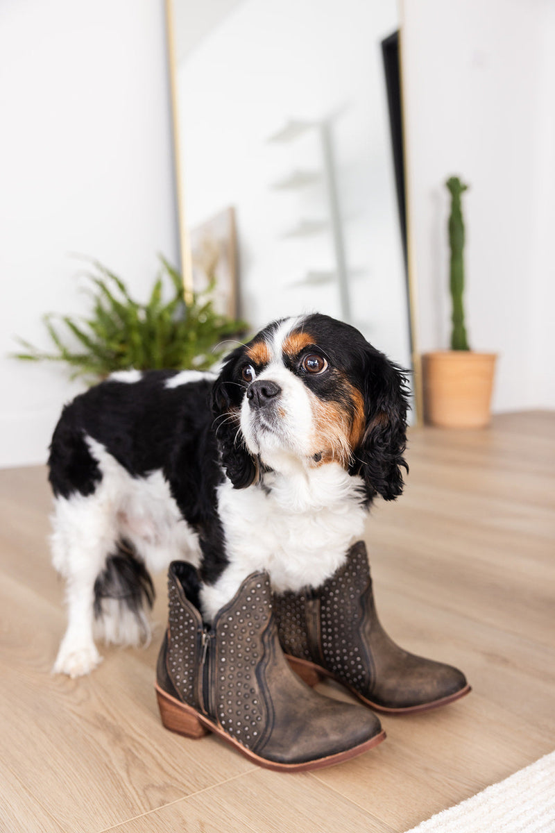 Hazel Blues® |  Nailed It Ankle Boot in White