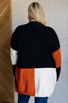 Hazel Blues® |  Writer's Block Color Block Open Front Cardigan