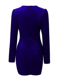 Hazel Blues® |  Ruched Surplice Long Sleeve Mini Dress