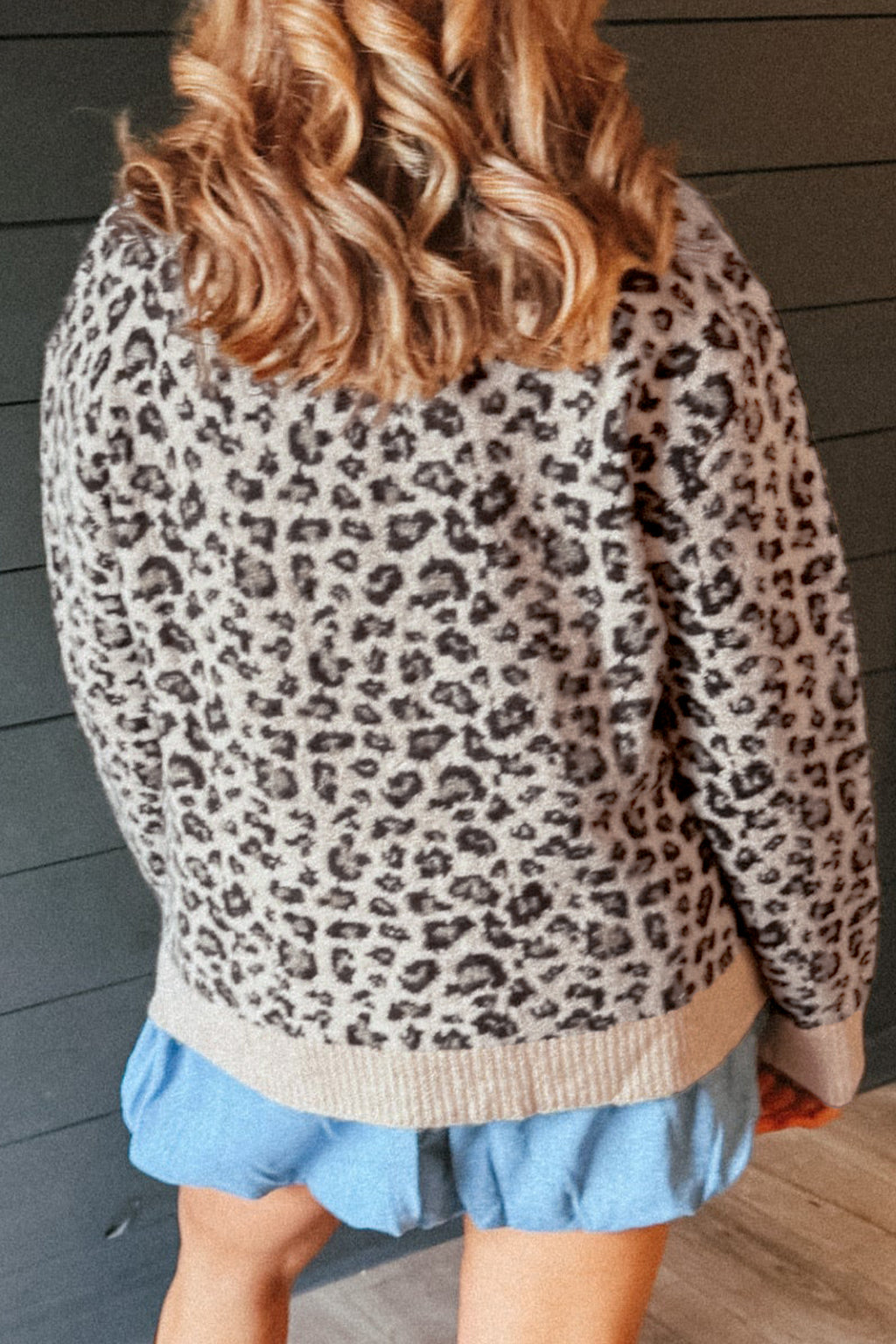 Lillian Blake Leopard Color-Block Sweater