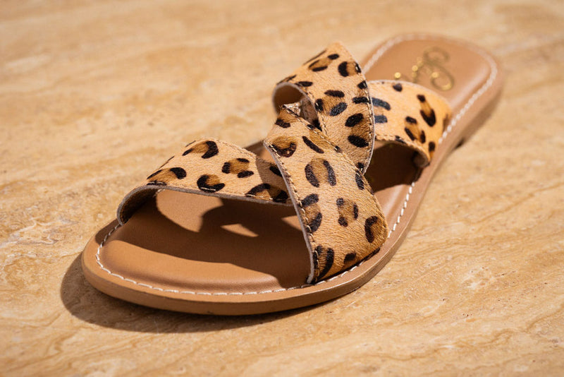 Hazel Blues® |  Conga Sandal in Leopard