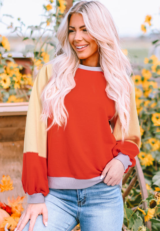 Hazel Blues® |  Color Block Round Neck Long Sleeve Sweatshirt