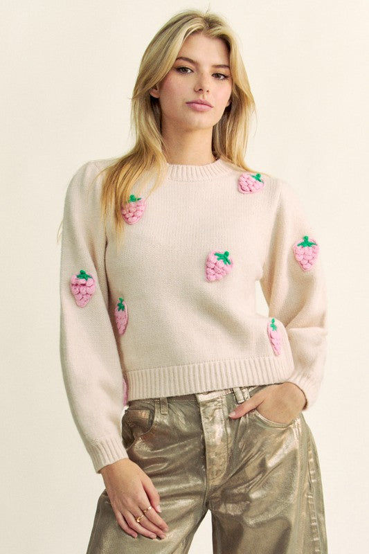 Hazel Blues® |  Davi & Dani Crochet Strawberry Round Neck Sweater