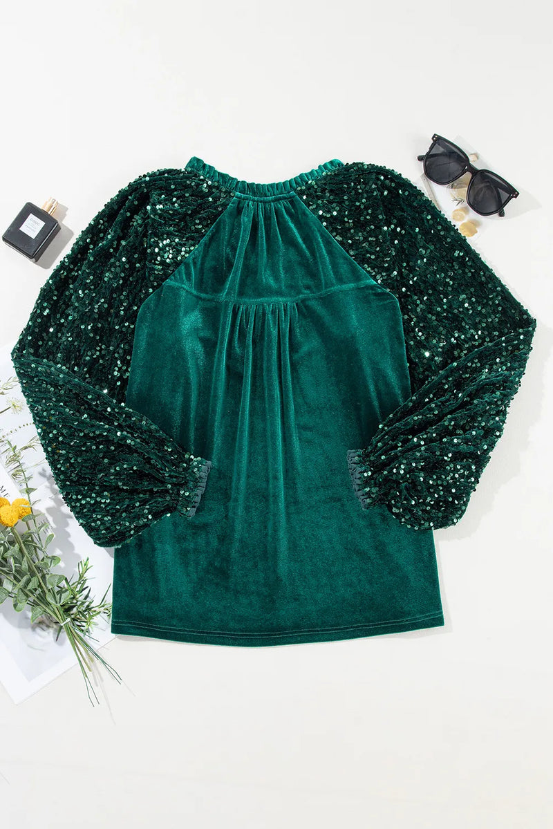 Hazel Blues® |  Sequin Notched Long Sleeve Blouse