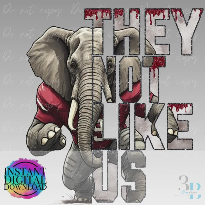 Elephant Football Design | They Not Like Us PNG (Digital Download)