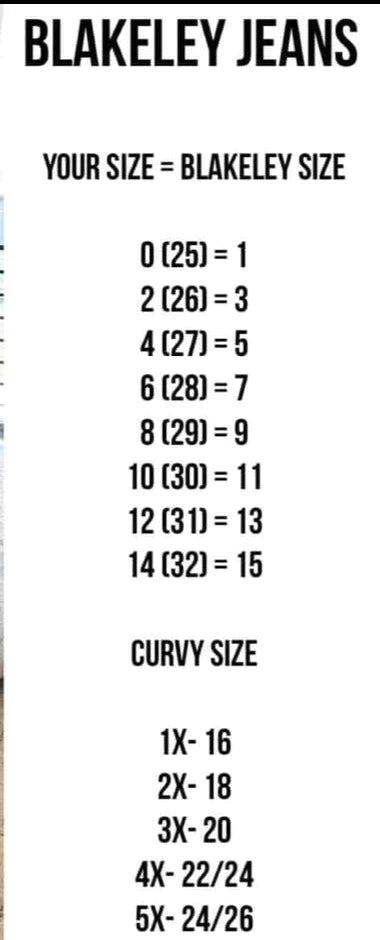 Hazel Blues® |  RHINESTONE COWGIRL MID RISE JEAN